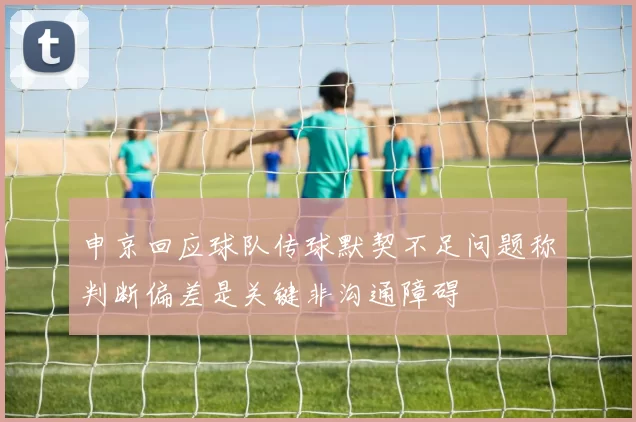 申京回应球队传球默契不足问题称判断偏差是关键非沟通障碍