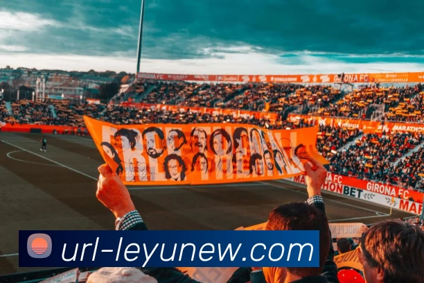 乐鱼体育APP 封面图